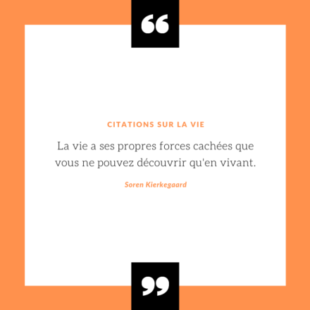 Citation sur la vie